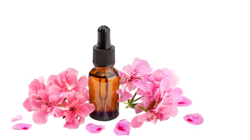 ゼラニウム アロマ スピリチュアル